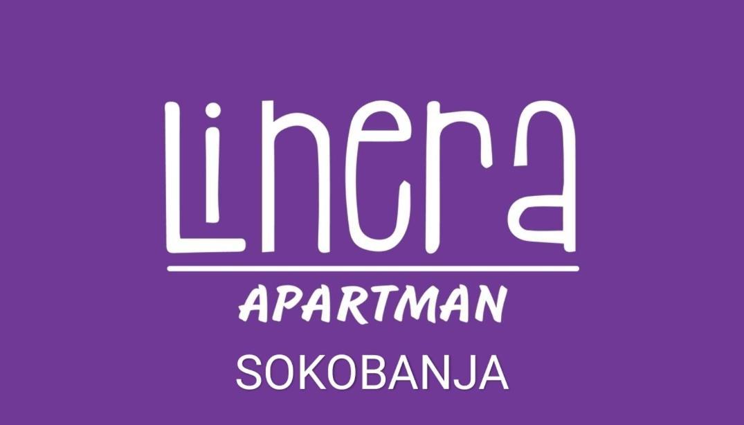 Apartman Linera Сокобаня Экстерьер фото